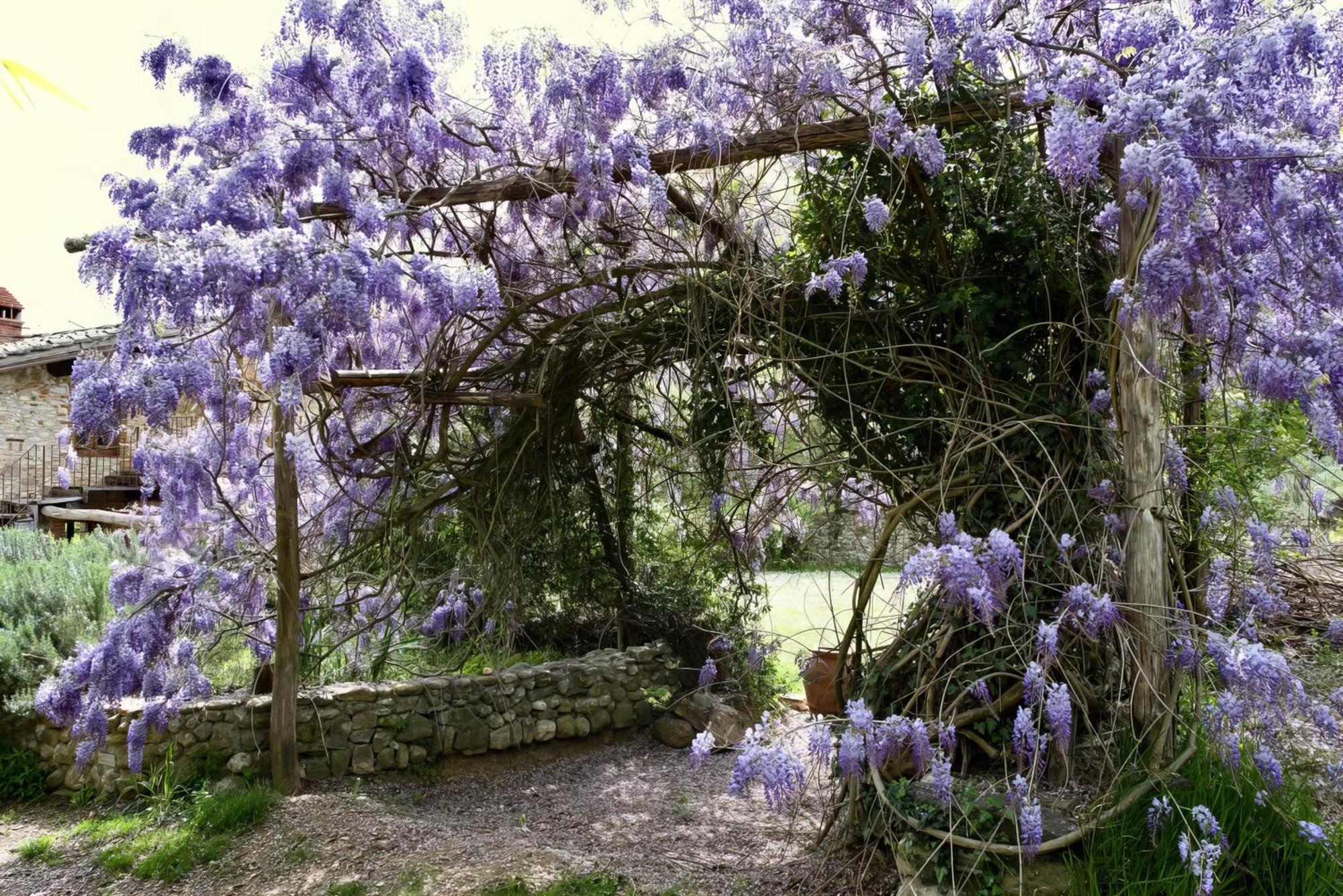 Molino In Chianti Villa Mercatale Val Di Pesa Exterior photo